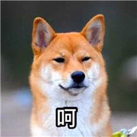  一本正经的情侣聊天专用表情包大全