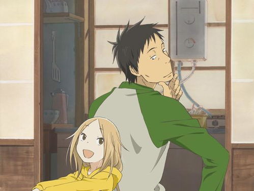  动画考察13倒写animation的可能性蜂蜜四叶草,交响情人梦,东之伊甸,c,no.6,兔子糖,ungo,黑岩,钓球知乎