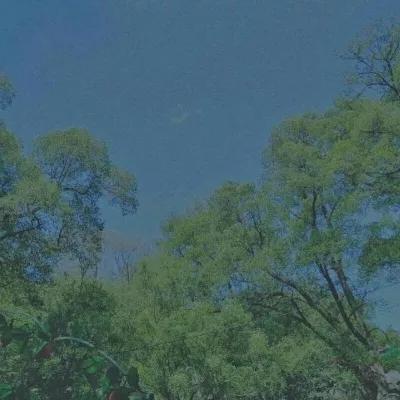  风景静物头像你若爱,生活哪里都可爱