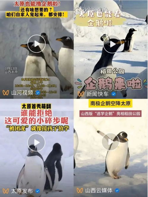 太原这里连续三天霸榜抖音热搜