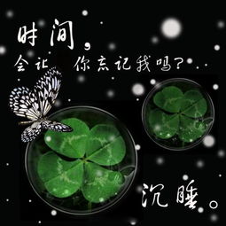  谁有好看一点四叶草的图片适合做头像的