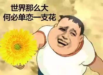 看不见听不见表情包根本