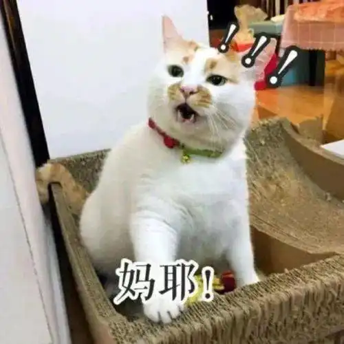  今儿冷明天更冷,登封迎降温降雨,最低8