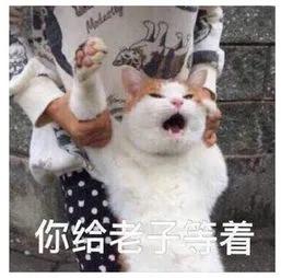  我大学毕业,月薪4000,那位进厂的同学,月入10000
