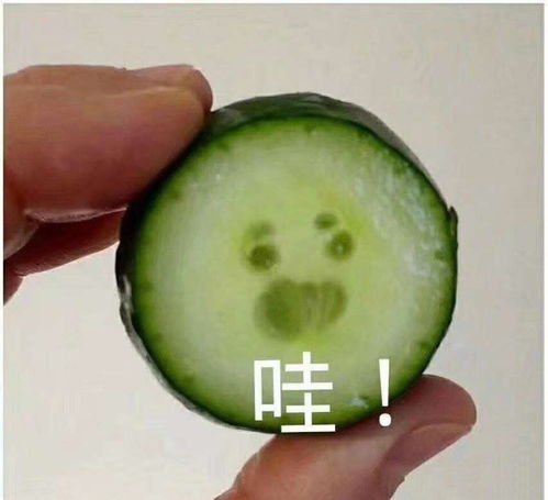 一战表情包黄瓜