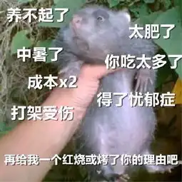 华农兄弟表情包中暑祝福