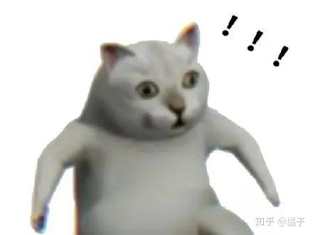 奇怪的知识猫表情包猫咪