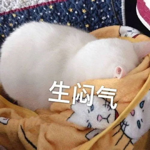  我在某小区月入8w,跟刘亦菲做邻居请问还招人吗哈哈哈哈哈