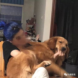  和lan开房的经历换上网状性感内衣后,尴尬的一幕发生了