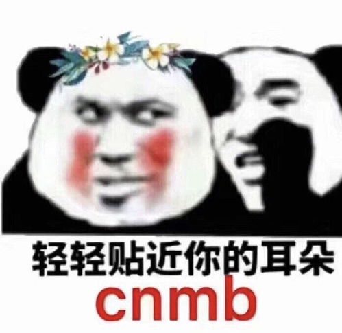 表情包微信头像头像