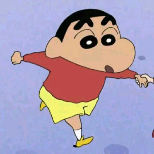 蜡笔小新情头情侣头像