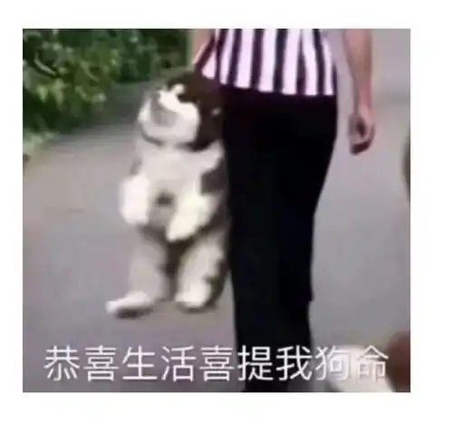  国考考情你在考场奋笔疾书,我在手机面前云淡风轻