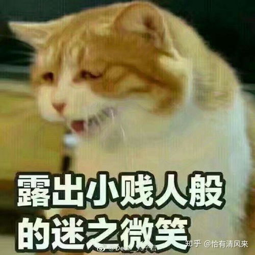  难道所有女生都希望礼物收到口红吗