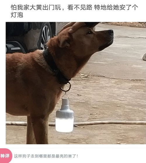 卖手撕鸡的小哥真的太有才了,说出了多少男人的心声