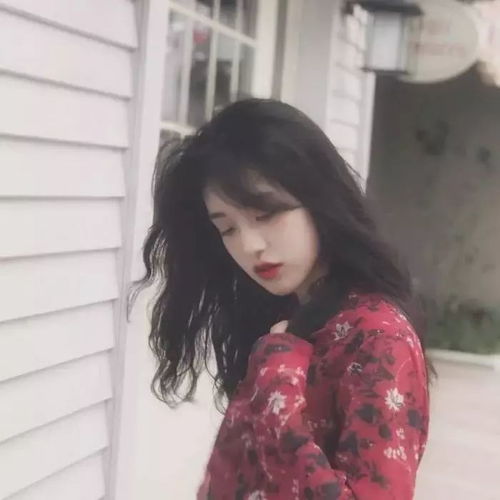  头像不是被窝不够好,实在是存款让人不能骚