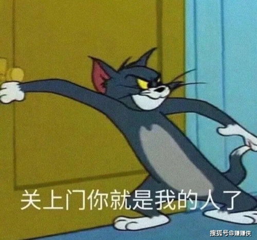  搞笑表情包图片你看我,快看我