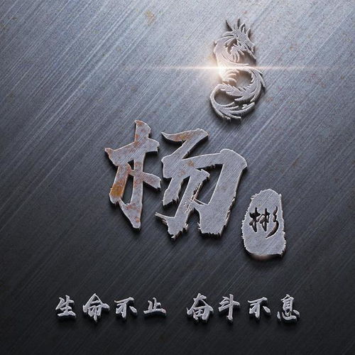  专属你的姓氏微信头像,40张金属商务3d签名头像,请查收带走