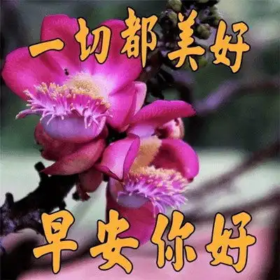  2023最新早晨好早上好漂亮问候祝福图片头像