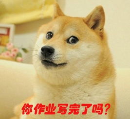  2015寒假搞笑表情包你作业写完了吗