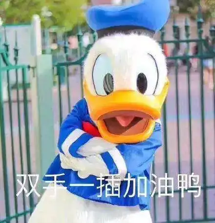 冲鸭表情包搞笑