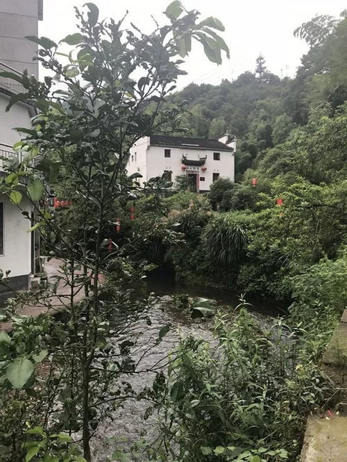  千岛湖888元全鱼宴三日游