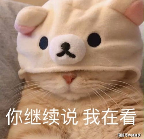  热门表情包图片从你这里,我又学到了奇怪的知识