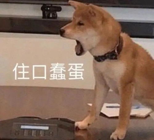  幽默笑话你要再不表白,我就提着刀去找你了