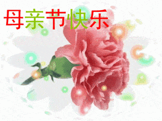  母亲节表情包合集