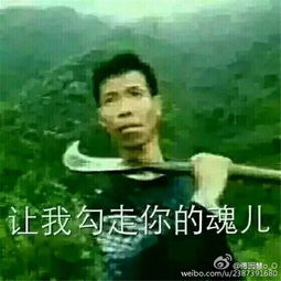  表情包更新傅园慧p图自黑毫无偶像包袱