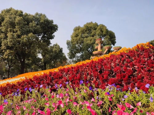  微信头像别乱用,有讲究