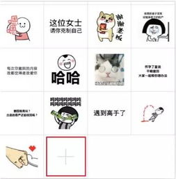  飞一般的速度点化180级,技能6开的妙音鸾女