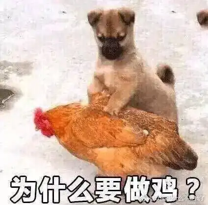  斗图日常爱情我要不起