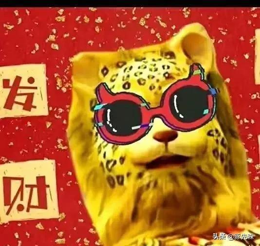  2022年最火头像金钱豹,我就是想发财,有什么错