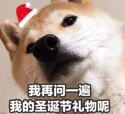  表情包没有新的表情包,你就不跟我聊天了吗