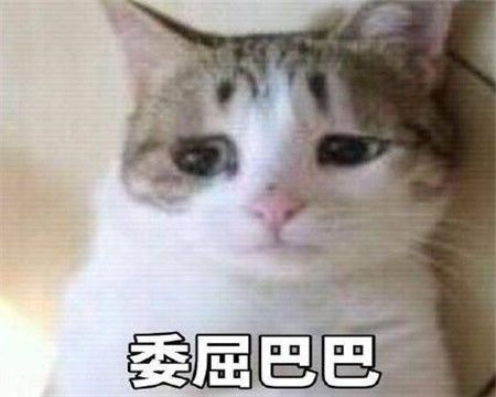  明星们的结婚照,徐峥尽显搞怪技能还暗示地位,最后这对成模板