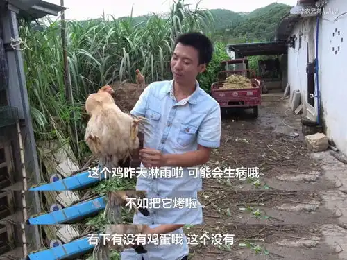  中国人为了吃,真是什么理由都编得出来