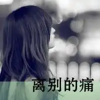 雨后的故事qq表情包