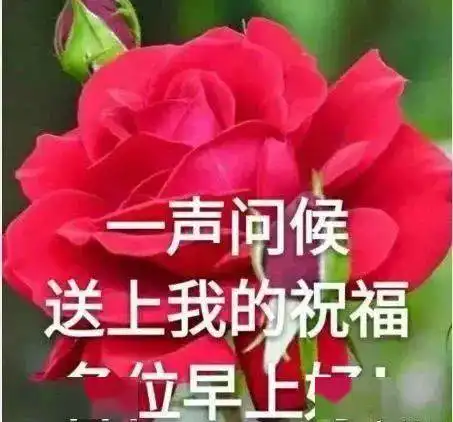  早上好表情包文字,人就这一辈子,别亏待自己