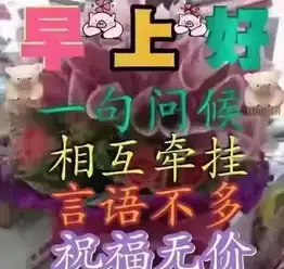  命运,不过是失败者无聊的自慰,不过是懦怯者的解嘲,早上好