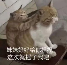  表情包我喜欢你,不讲道理侵权