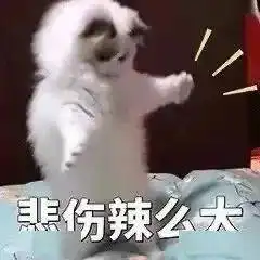  可爱仙女表情包亲亲这边建议你中意我一下