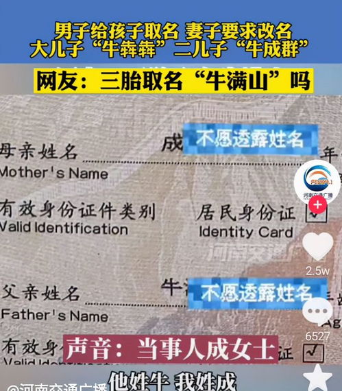  男子姓牛,俩儿子起名都与牛多有关,妻子不满,网友评论亮了