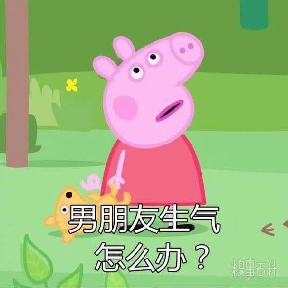  zaker精彩段子