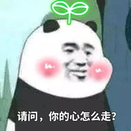  iphone变卡了,换电池真有用