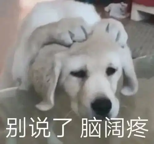  新晋渣女颜,还有人不喜欢