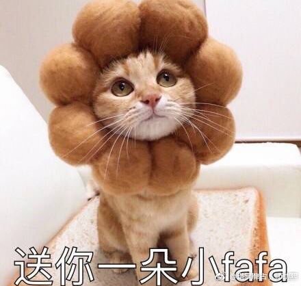 微信头像卡通动物图片情