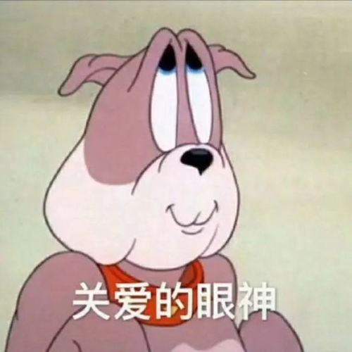  全程高能岛国超奇葩综艺,女优与素人同睡,陌生男女必须接吻