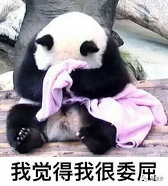  又一部压了三年的剧播出了周冬雨陈晓遇见爱情的利先生剧情抢先看慢慢陈旧感