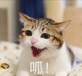  金光瑶新年快乐