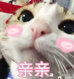  叮咚,这有一份脱单攻略请注意查收